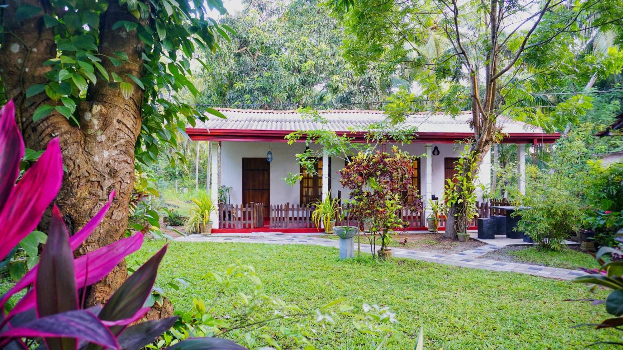 Lake Island Home Stay Dambulla Exteriér fotografie
