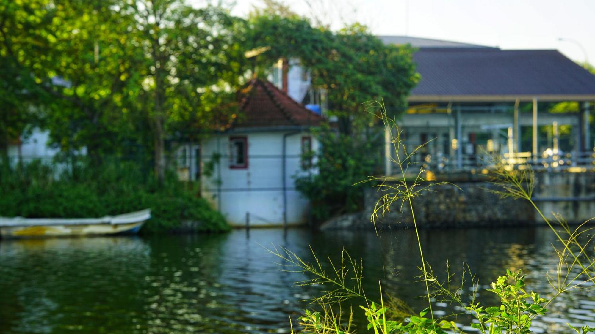 Lake Island Home Stay Dambulla Exteriér fotografie